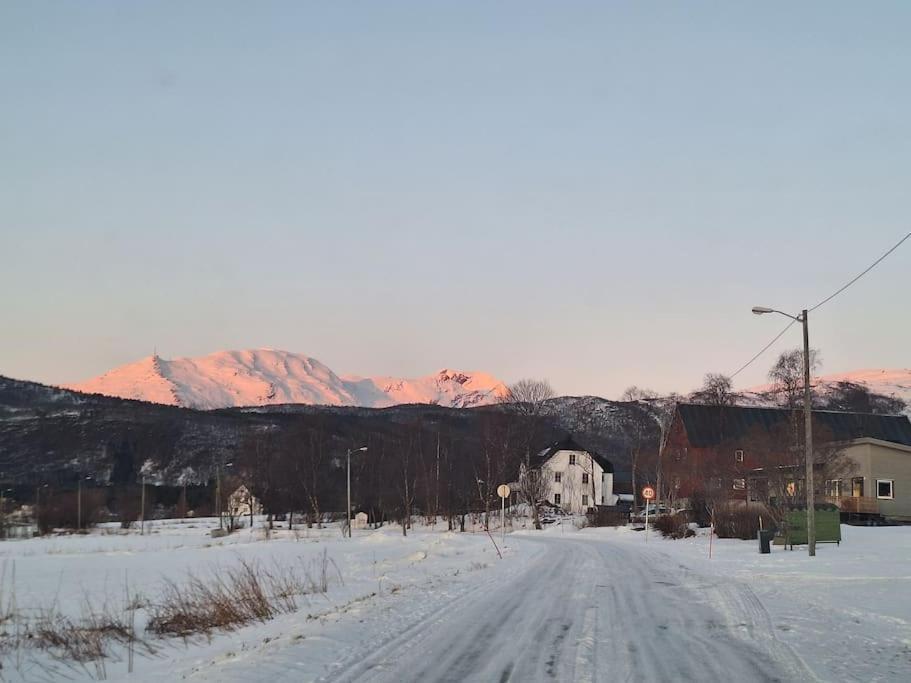 Farmroom With Sauna And Aurora Narvik Exteriör bild