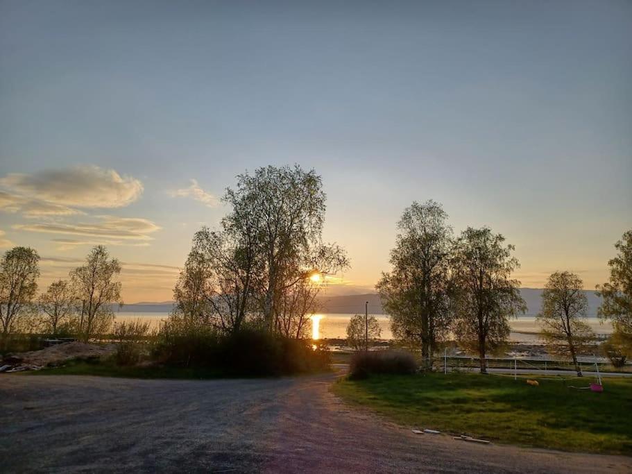Farmroom With Sauna And Aurora Narvik Exteriör bild