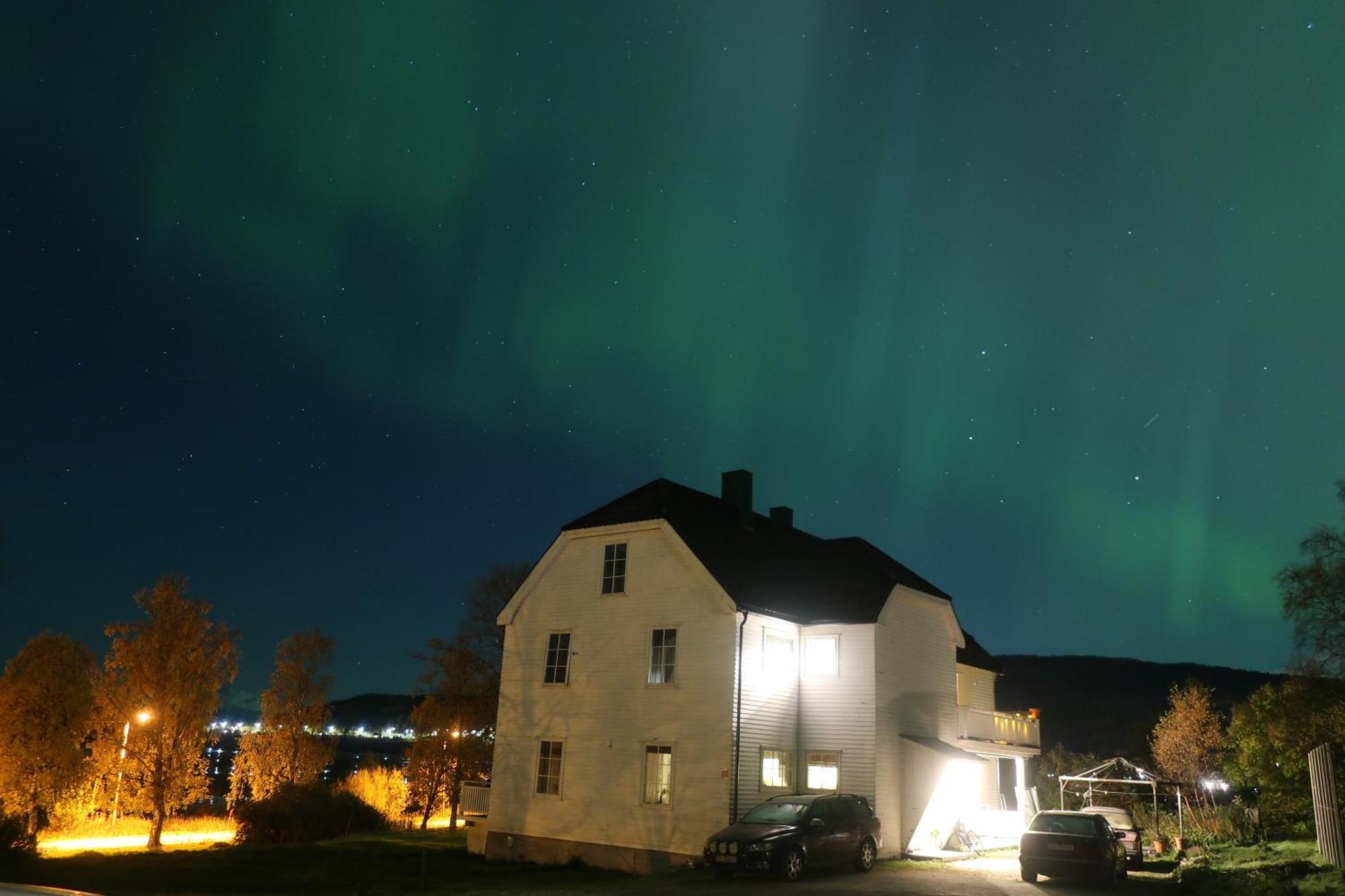 Farmroom With Sauna And Aurora Narvik Exteriör bild